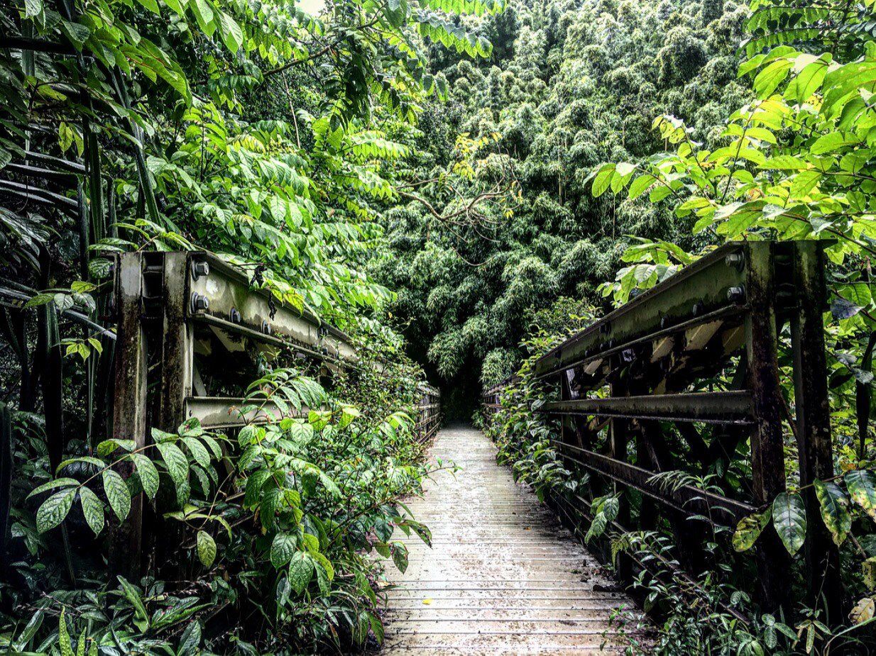 Hawaiian Bridge